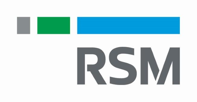 RSM Netherlands Consultancy B.V. logo